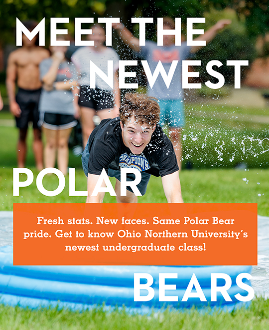 Graphic composite with text saying meet the newest polar bears
