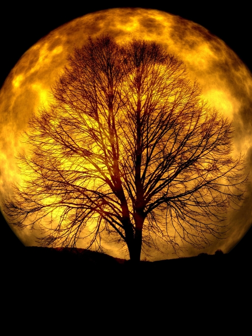 moon-165487_1.jpg