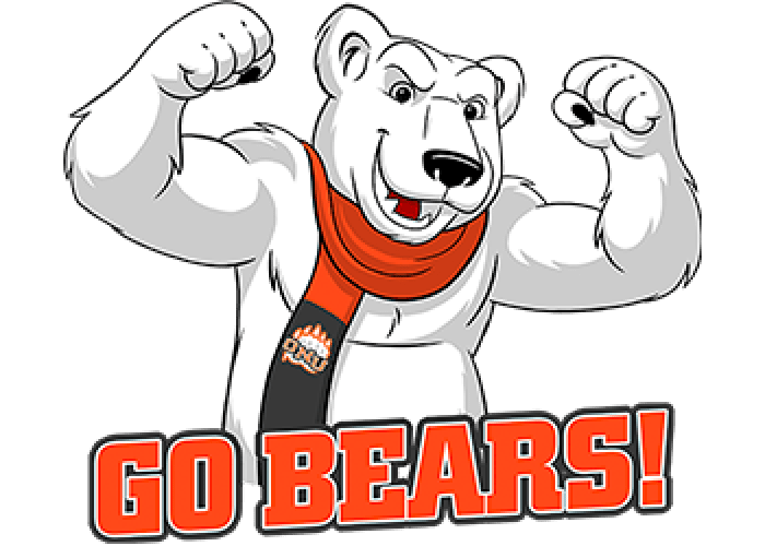 Go Bears Cartoon Social Graphic
