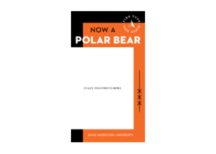 Now a Polar Bear Social Story Frame