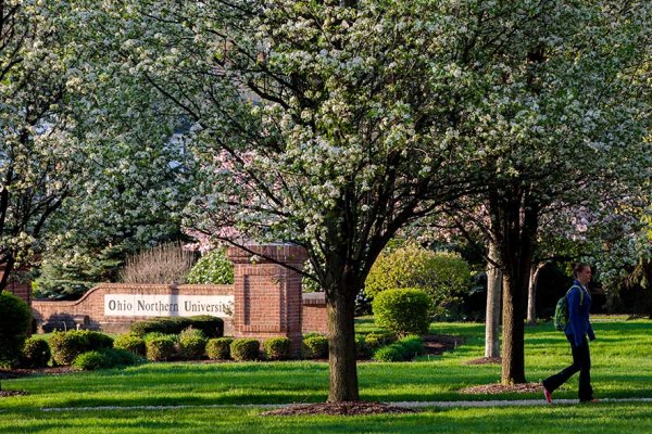 News Article Image - ONU named 2019 Tree Campus USA in recognition of commitment to promoting healthy trees
