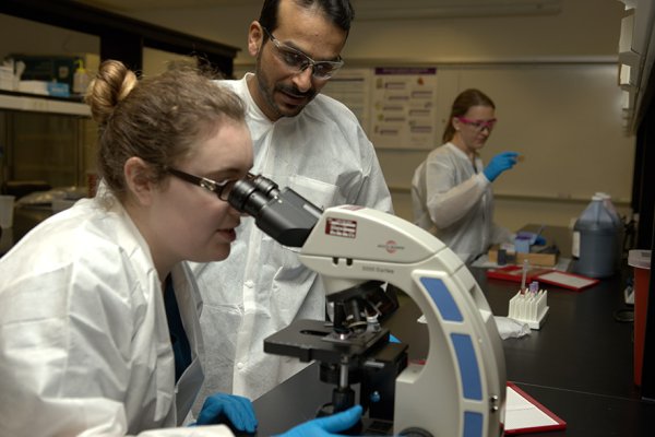 News Article Image - ONU to celebrate Medical Laboratory Professionals Week with virtual 5K, student-focused events