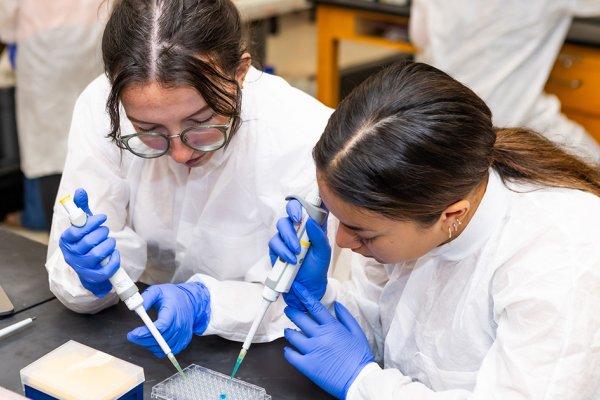 News Article Image - ONU receives $1 million to support STEM scholarships
