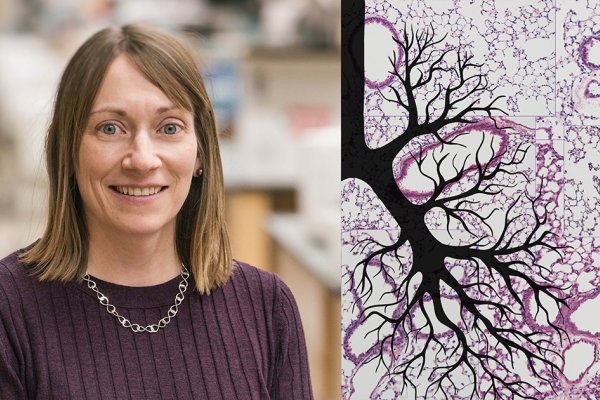 News Article Image - Harvard Medical School professor and ONU alumna Dr. Carla Kim to deliver 2026 Keiser Lecture