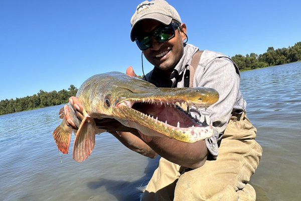 News Article Image - “Gar Guy” returns to his alma mater