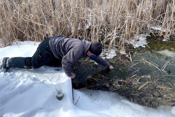 News Article Image - ONU Environmental and Field Biology students helping to restore Blue Heron Reserve wetland