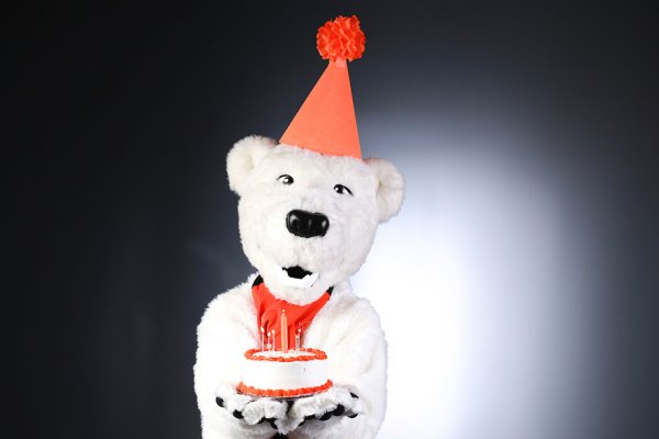 News Article Image - Happy 100th Birthday, ONU Polar Bear!