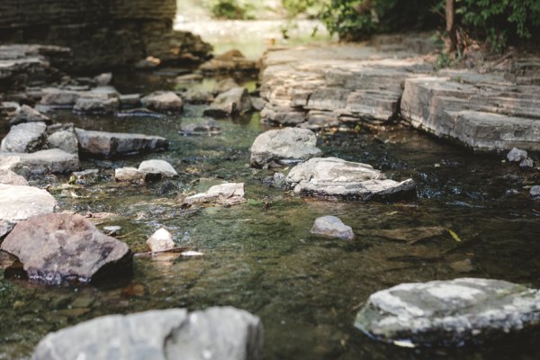 News Article Image - ONU fracking research reveals small stream impacts that could be altering ecosystems