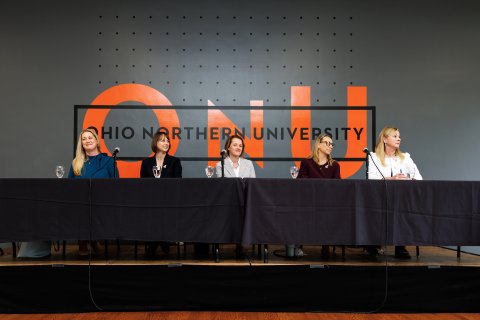 View of just the panelists 