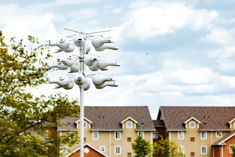 A multi-tiered Purple Martin birdhouse system with numerous white plastic nesting gourds mounted on a tall metal pole against a cloudy sky and residential buildings.