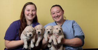 Sisters from left, Jessica (Dunham) Brinkman and Jaki (Dunham) Waggamon are photographed at 4 Paws For Ability in Xenia, Ohio.
