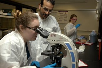 Medical Laboratory Sciences students using a microscope.