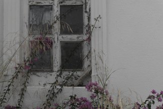 Window with flowers.