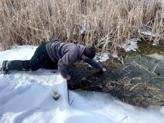 An Ohio Northern University professor collecting a water sample at a Blue Heron Reserve fen.