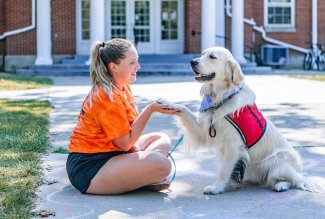 Photo of dog with trainer