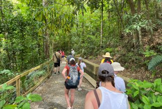 Ohio Northern University students navigating a path through a rainforest in Puerto Rico.